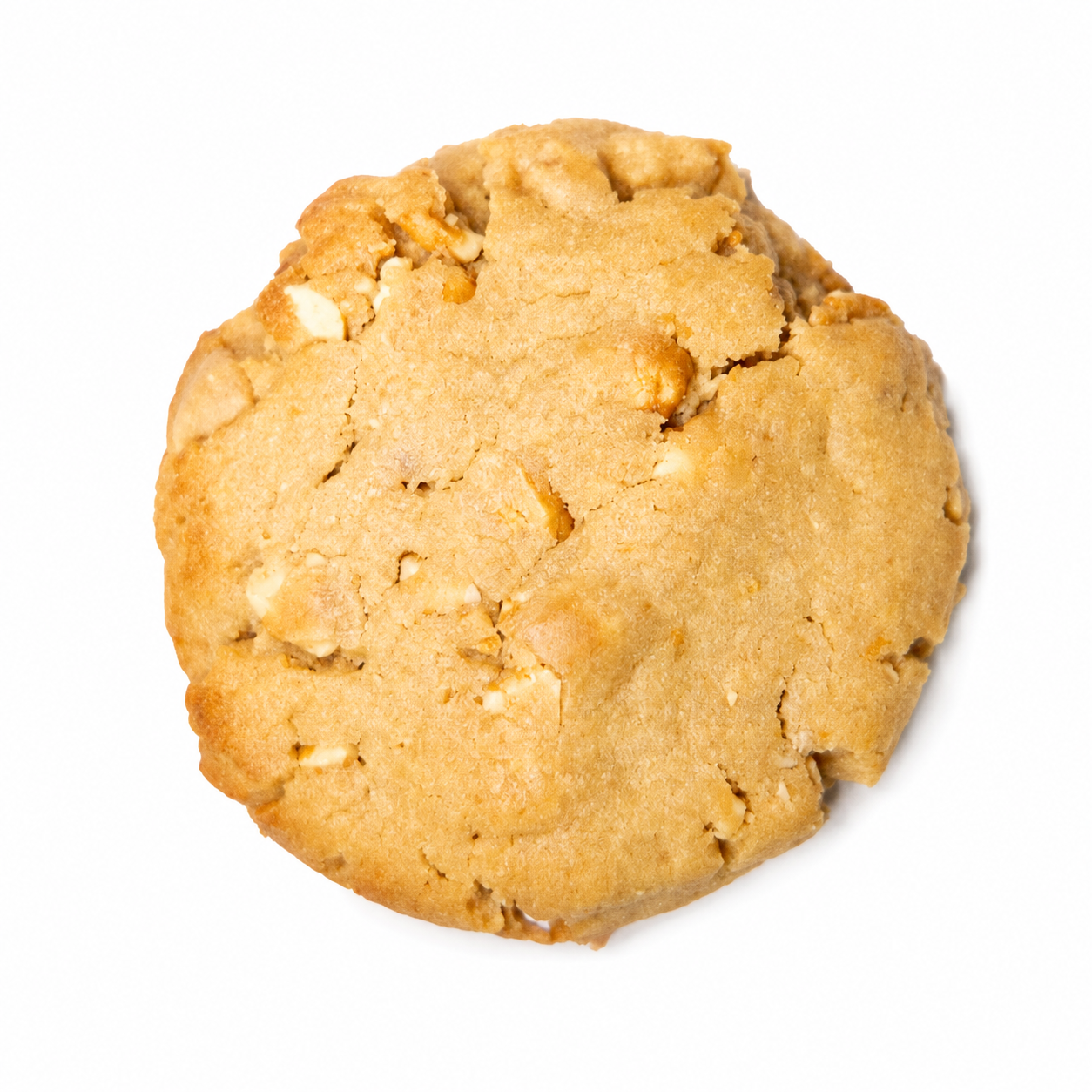 Peanut Butter Cookie