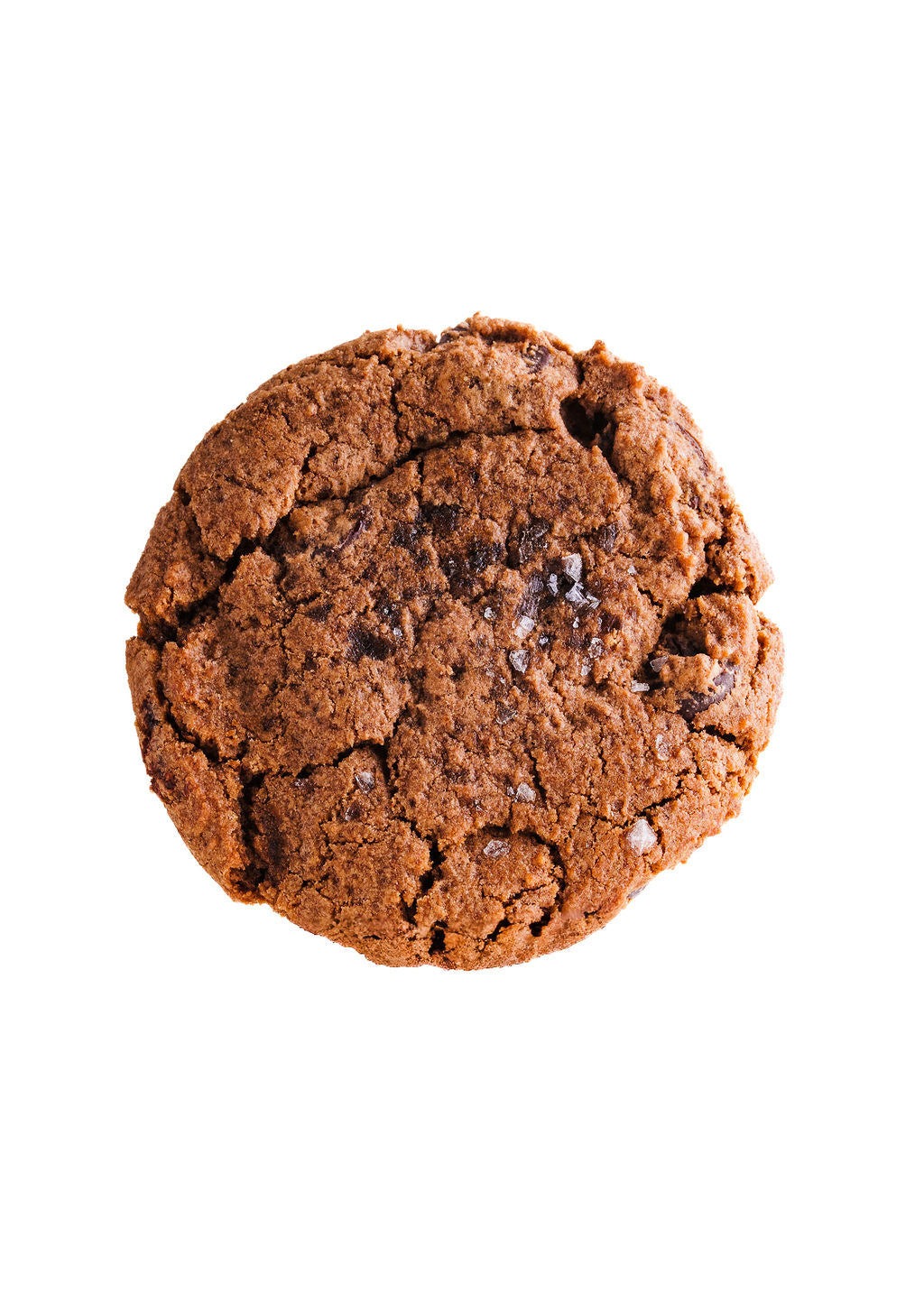 Espresso Cookie