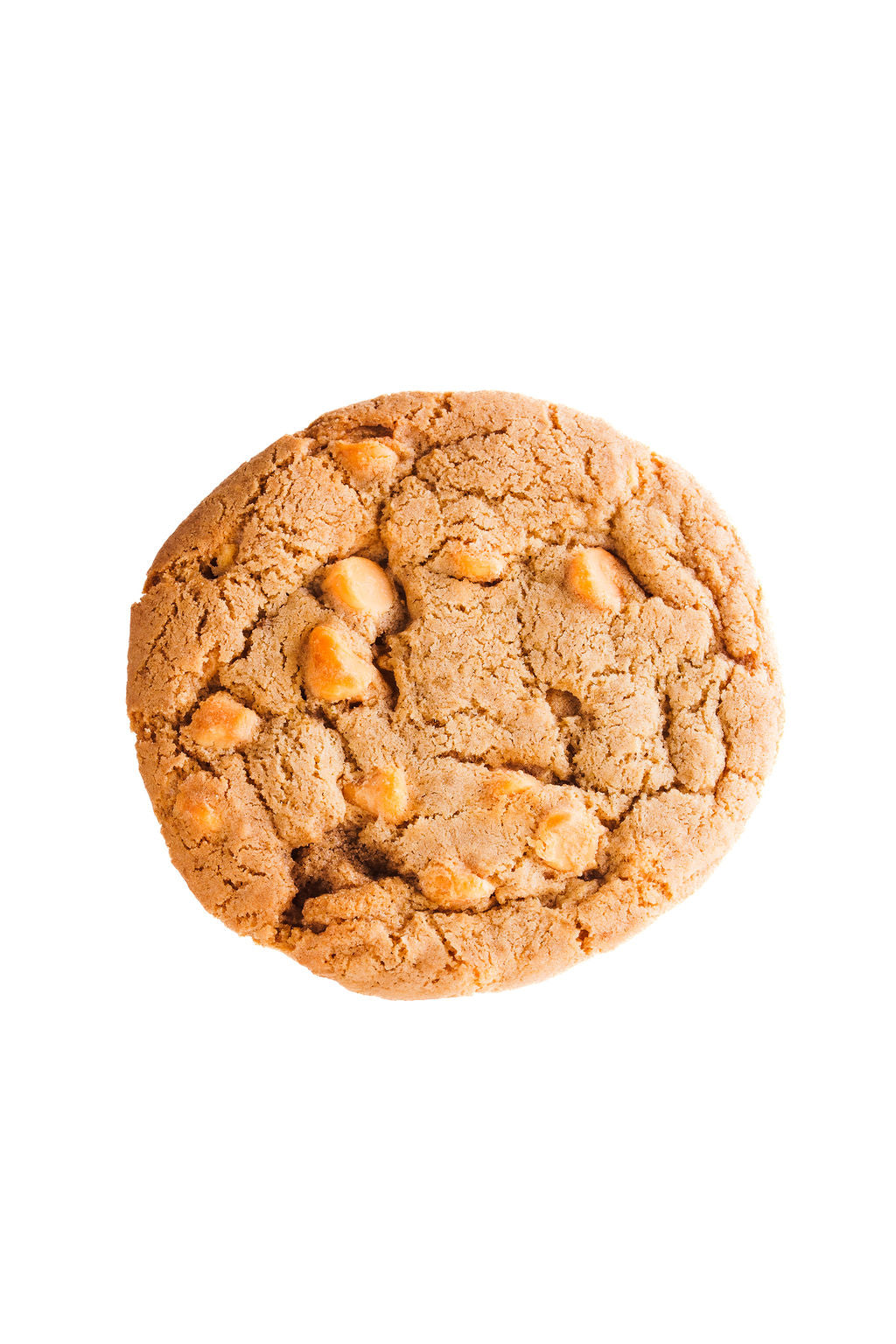 Peanut Butter Cookie