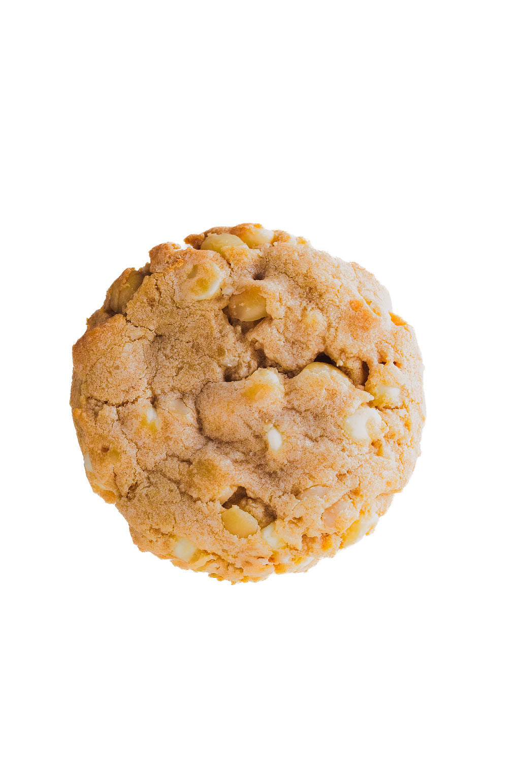 White Chocolate Macadamia Nut Cookie